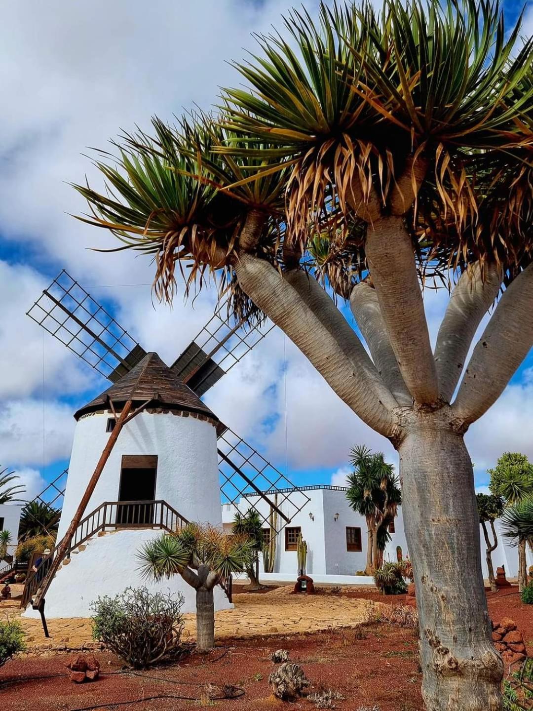 Casa Del Mar Air-Conditioned Apartment With Swimming Pools - Corralejo Playa Exterior photo